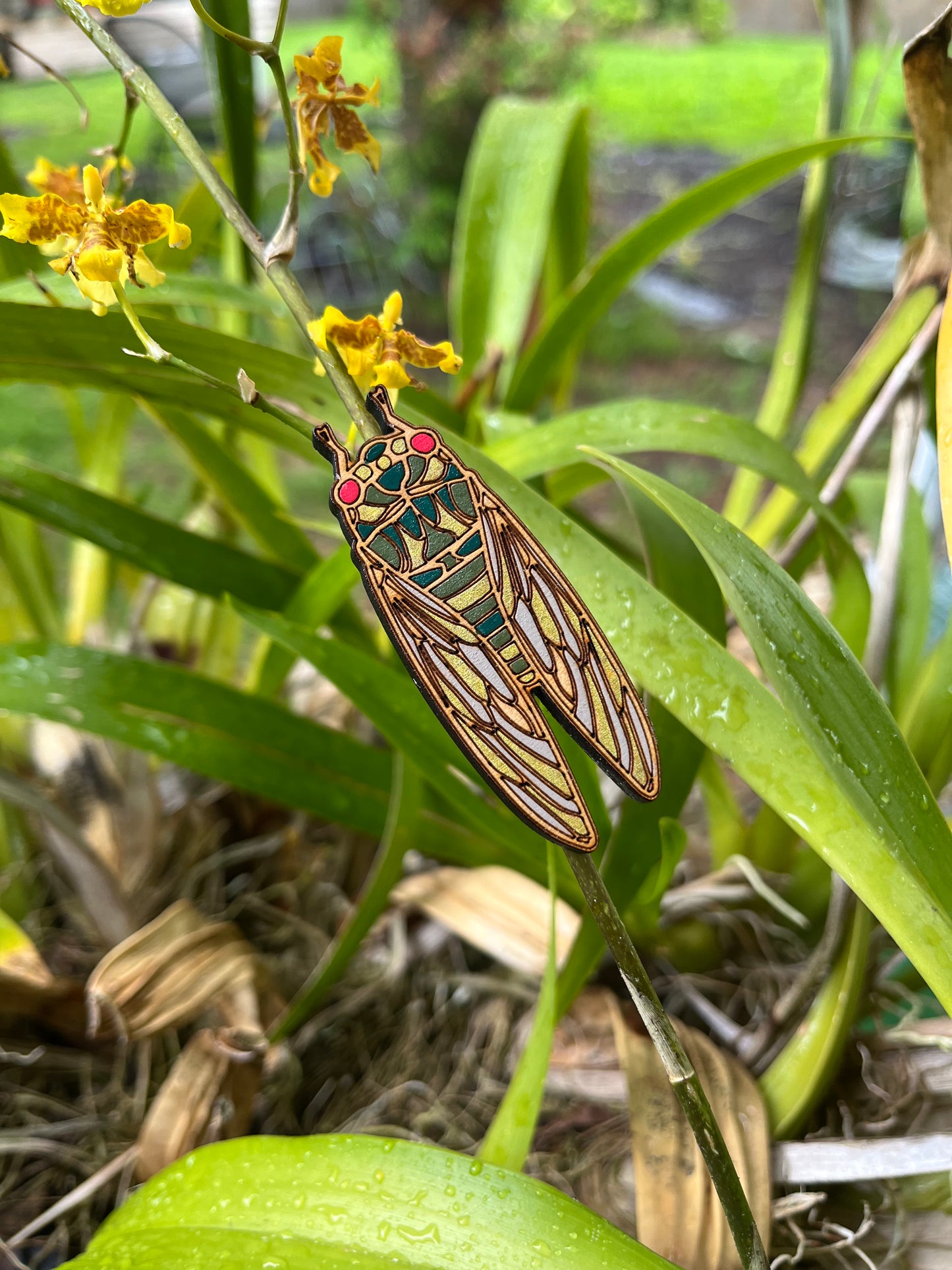 Hand Painted Wooden Cicada Brooch