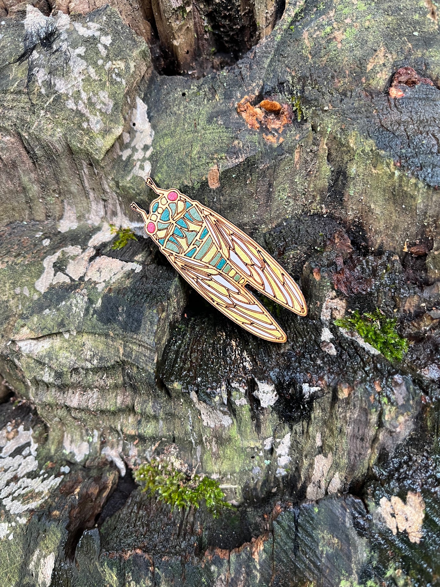 Hand Painted Wooden Cicada Brooch