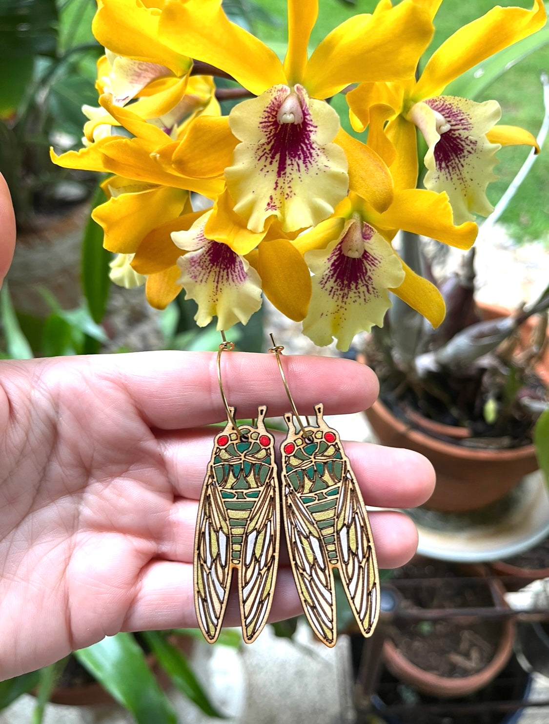 Cicada earrings