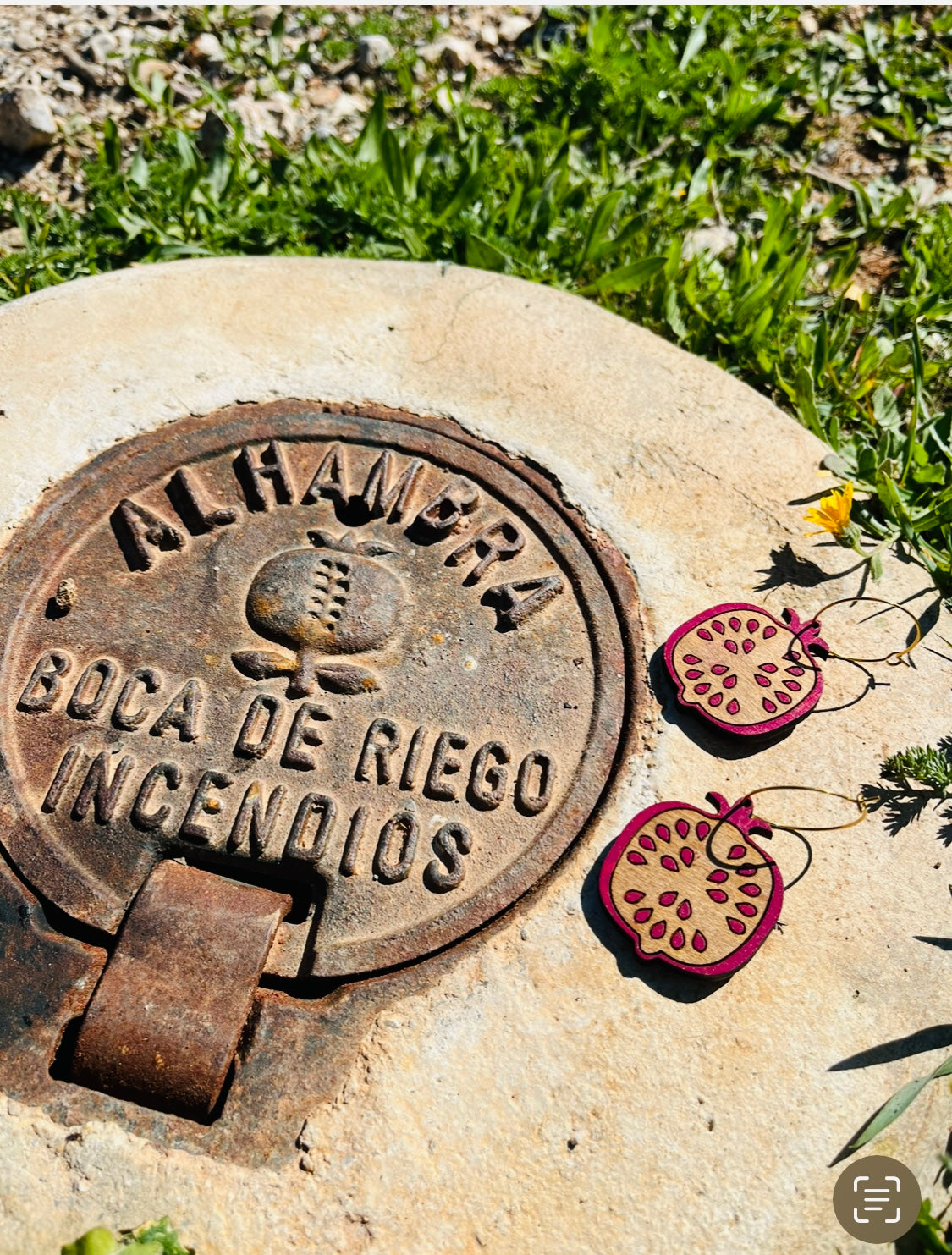 pomegranate hoops